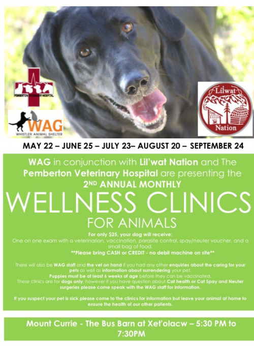 tumblr_ntehnhpqyd1qda9xdo1_500