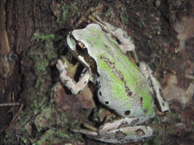 11998895_10153472902295210_5285651062751398742_n