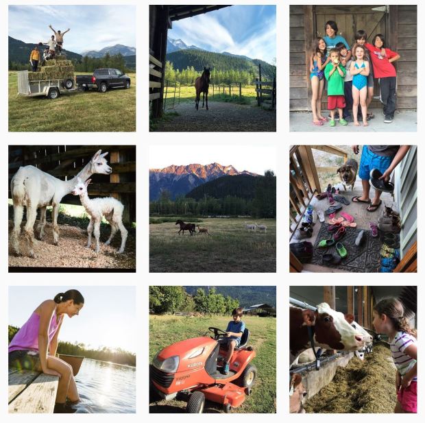 instagram farm life