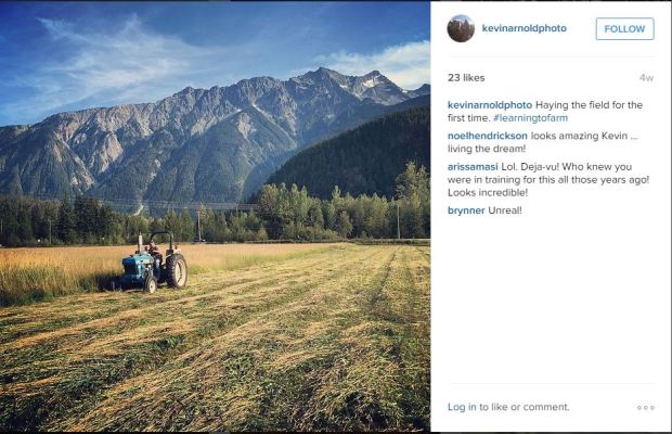 instagram learning to hay