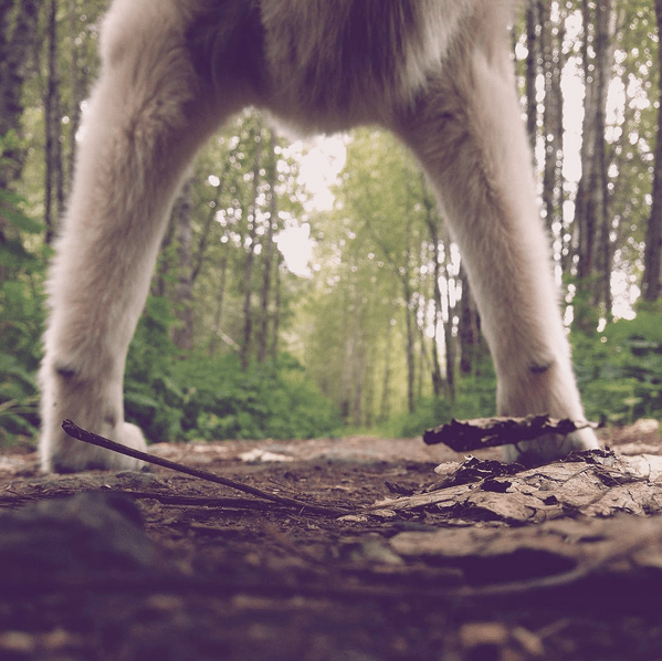 Screen shot 2015-09-06 at 8.30.47 PM