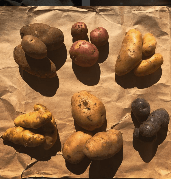 Screen shot 2015-10-18 at 2.17.10 PM