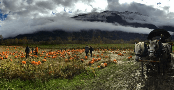 Screen shot 2015-10-18 at 2.17.21 PM