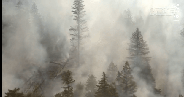 Screen shot 2015-10-18 at 1.59.45 PM