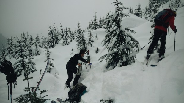 Processed with VSCO with a6 preset