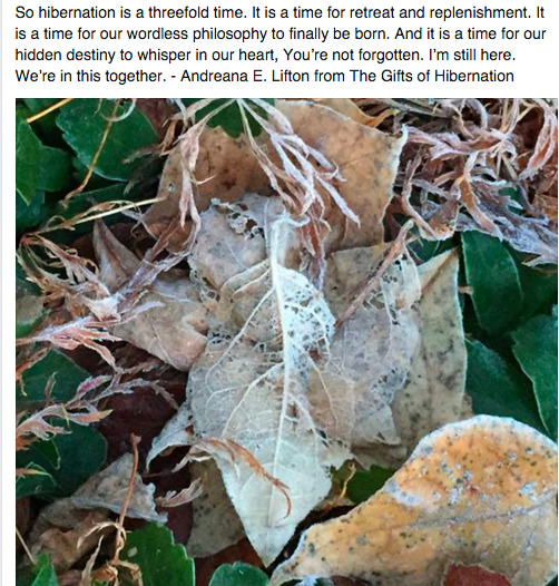 hibernation from mary