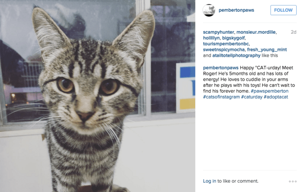 Screen shot 2015-12-08 at 11.00.54 AM