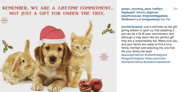 Screen shot 2015-12-08 at 11.01.20 AM