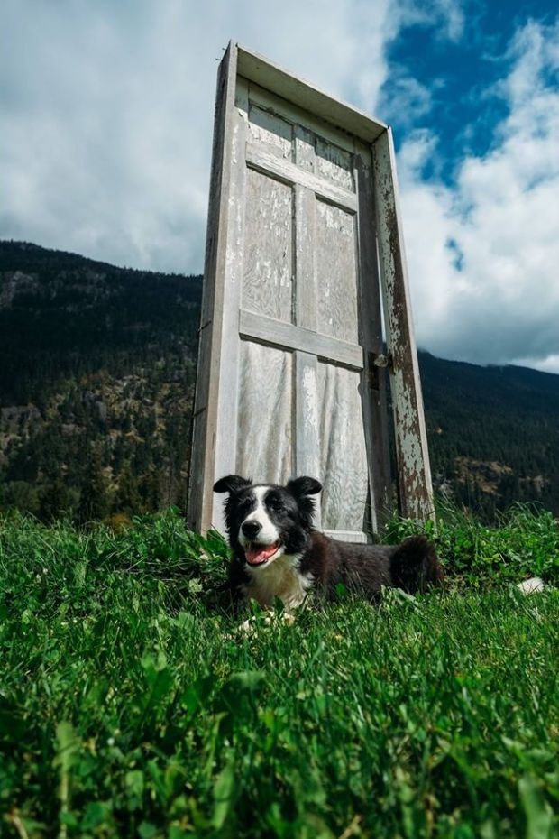 12030469_826291230803306_5003441396042666449_o