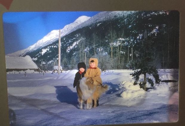 12695735_10209378242196313_185761140_n