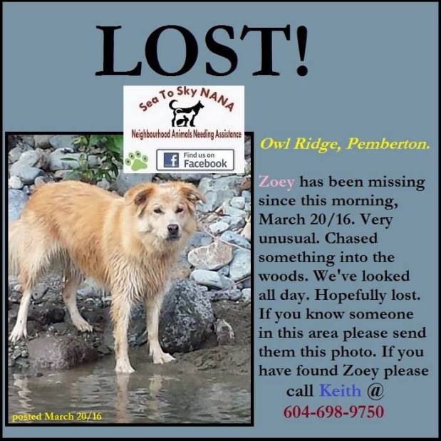 10644560_1003120356435474_2152236950161373376_n