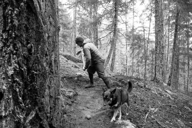 12742522_10156526851575710_5631851149498236403_n