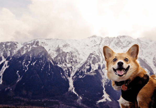 Screen shot 2016-03-02 at 9.32.33 PM