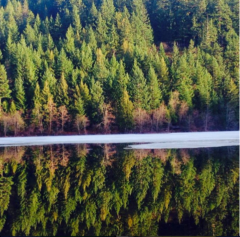 Screen shot 2016-03-10 at 9.41.48 PM