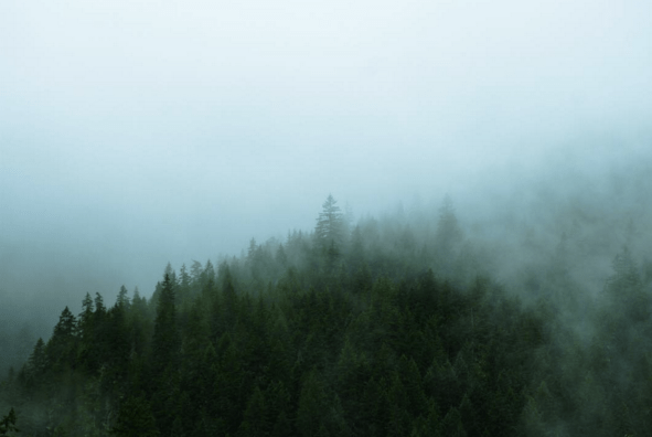 Screen shot 2016-03-23 at 2.10.32 PM