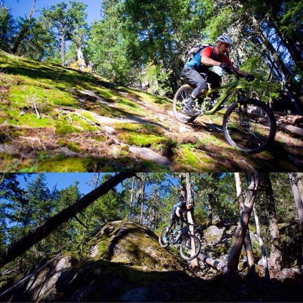 12141675_573480862790011_5256192598807891899_n