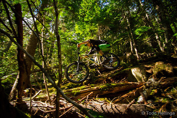 86869e_957d71ac673341eea068faa82380b7f8