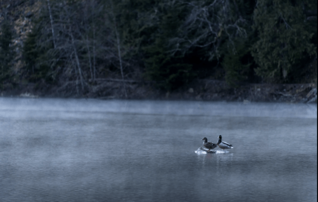 Screen shot 2016-04-06 at 11.22.48 AM