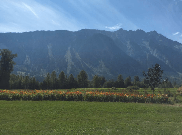 Screen shot 2016-04-20 at 10.32.48 AM