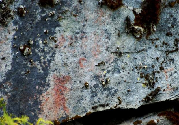 12540646_1304096982941137_8945529297774197293_n