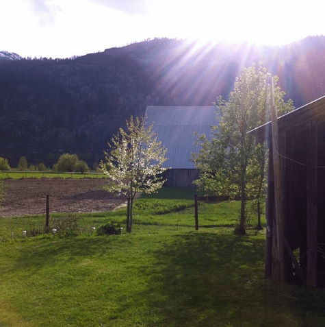 Screen shot 2016-05-01 at 8.43.45 PM