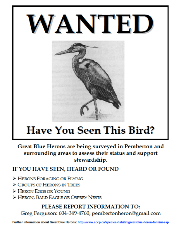 Screen shot 2016-05-11 at 10.12.51 AM