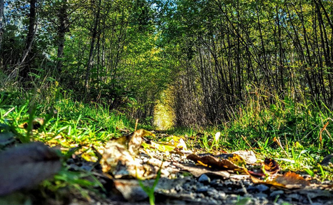 Screen shot 2016-05-11 at 9.49.24 AM