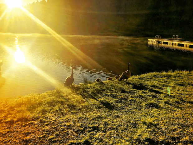 Screen shot 2016-05-22 at 3.47.09 PM