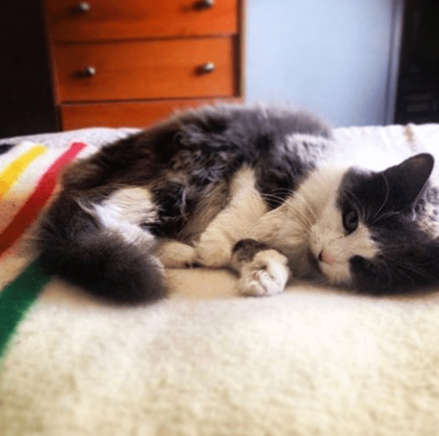 Screen shot 2016-05-22 at 3.47.17 PM