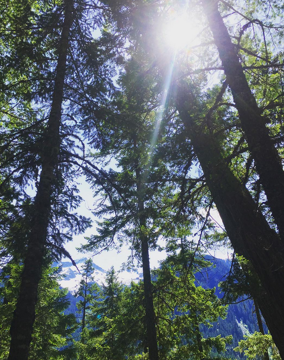 Screen shot 2016-05-22 at 3.47.42 PM