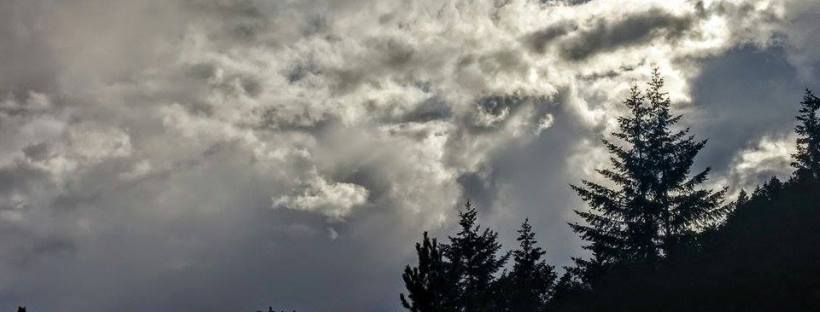 Photo by Victoria Saddleman