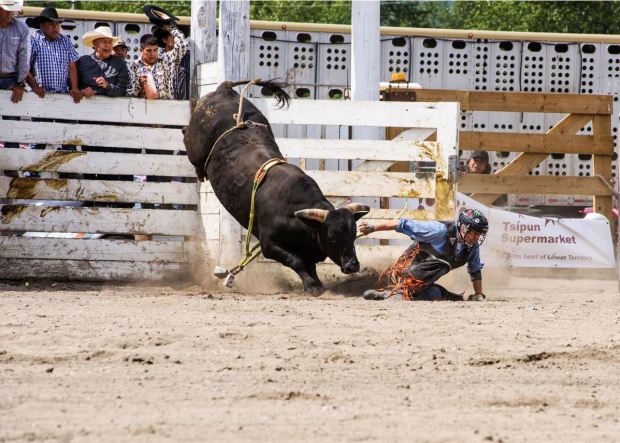 Photo by Dave Steers