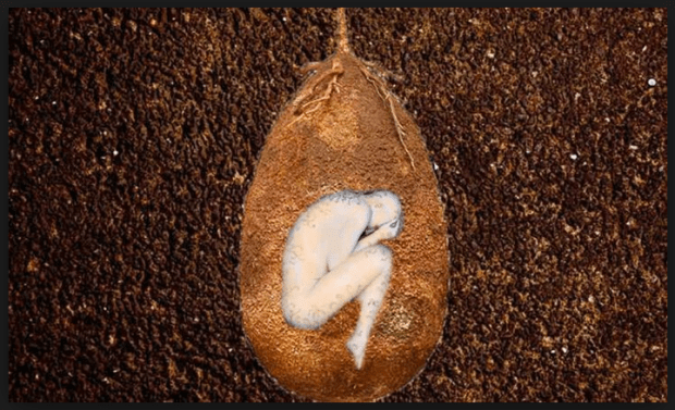 Screen shot 2016-06-05 at 10.34.20 AM