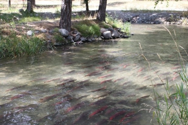 564b466bbe5d6aec8f42bd49e1f24272