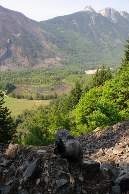 60694a55-3617-4d92-a21c-1a3873f611f7