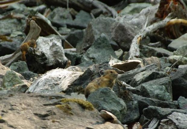 acb3491d-d656-48b3-b51e-f86eea5e9c6f