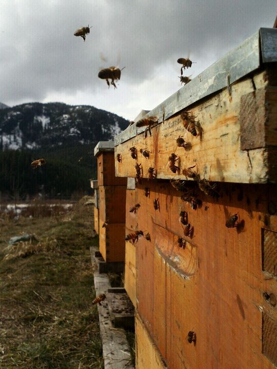 58426_10151522248719434_133649771_n