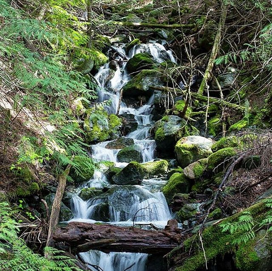 Screen Shot 2016-09-05 at 12.54.45 PM