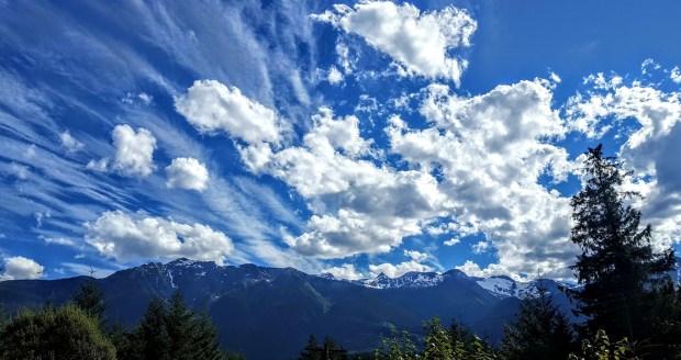 shayla-wallace-perfect-moment