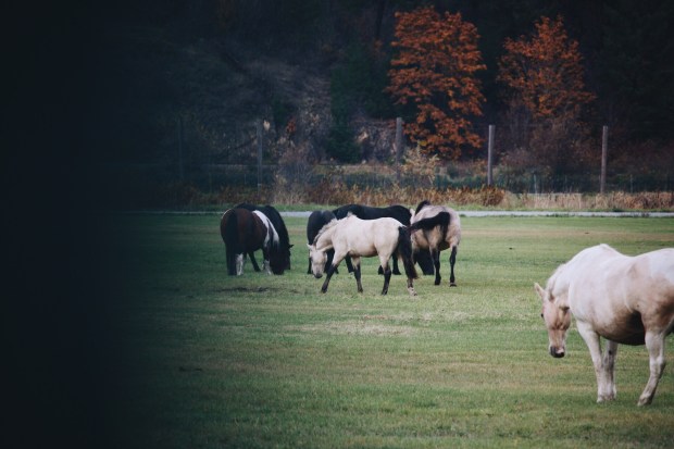 Processed with VSCO with a6 preset