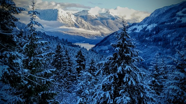 photo-by-shayla-wallace