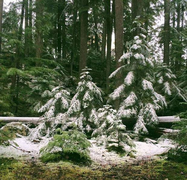 15319381_1011358278969674_96449349_n