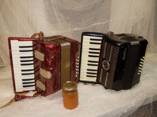 accordions-from-connie