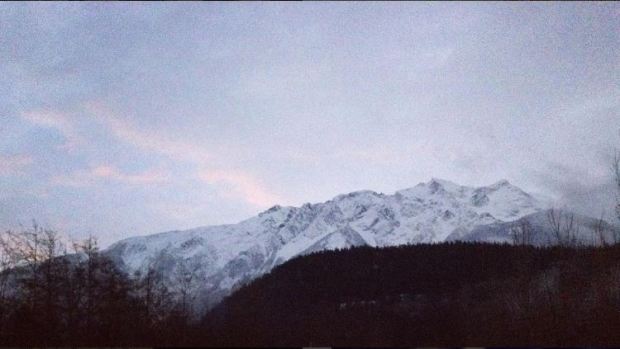 early-morning-dog-walks-with-zoe