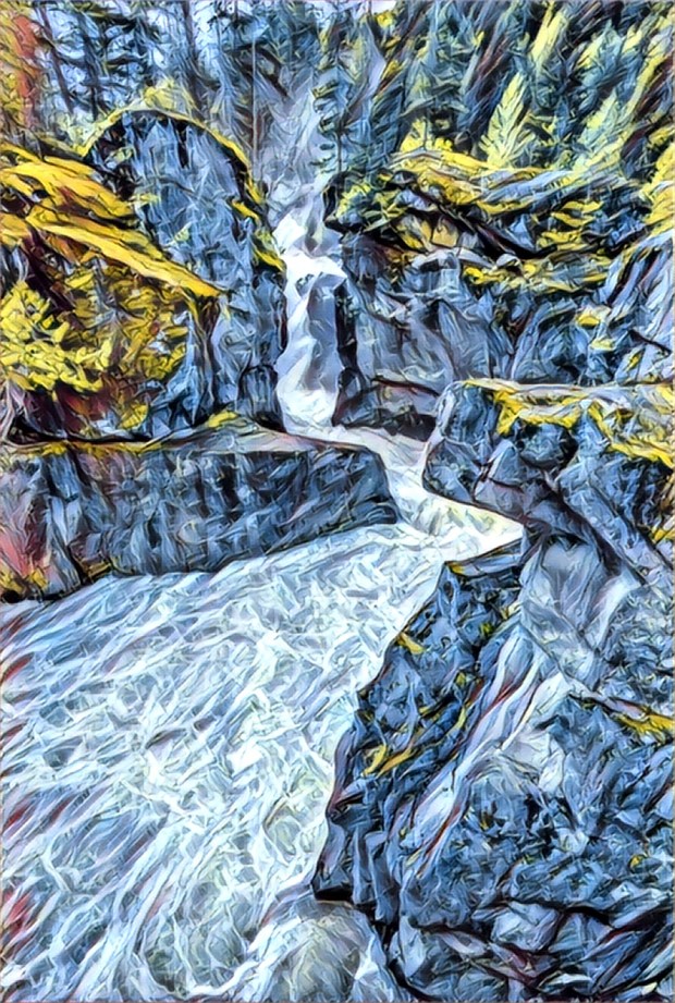 dave-steers-feb-27-2017-photo