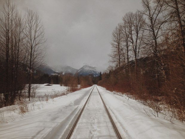 Processed with VSCO with m5 preset