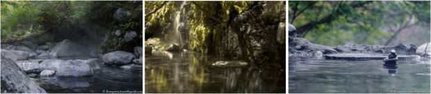 screen-shot-2017-02-05-at-11-05-43-am