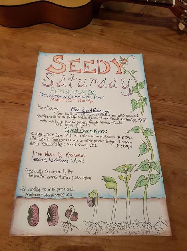 17424914_1264431416925536_5595935909586763478_n