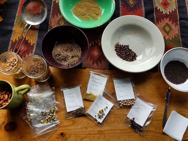 17457343_1267066863328658_8250696589958215738_n