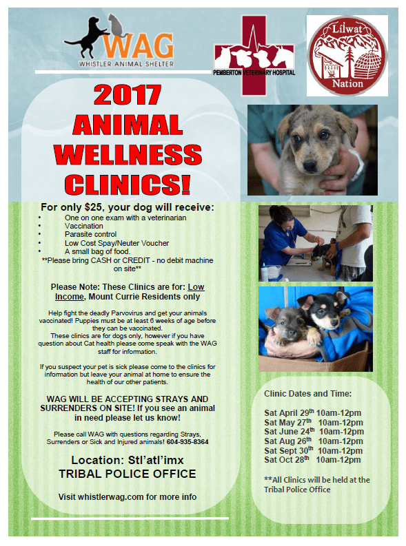 18033196_10155162145139780_4738752827760173143_n